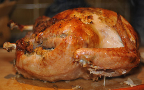 Thanksgiving 2011 Celebrations