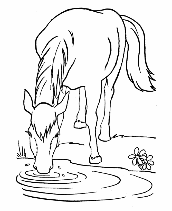 free horse coloring page download free clip art free clip