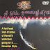 A Little Hawaiian Style (1988) Watch Full Movie 1080p