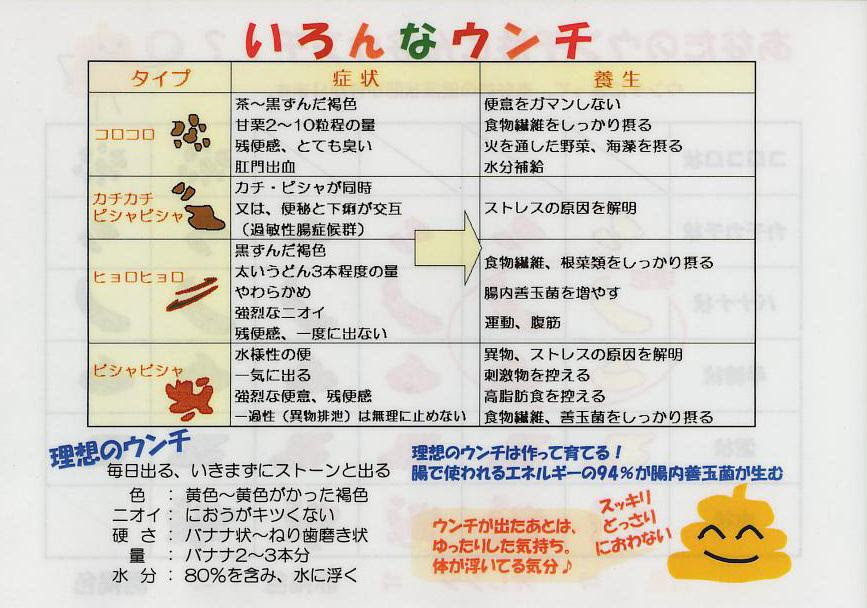 特集 便秘と漢方薬 よい腸内環境 理想のうんちとは