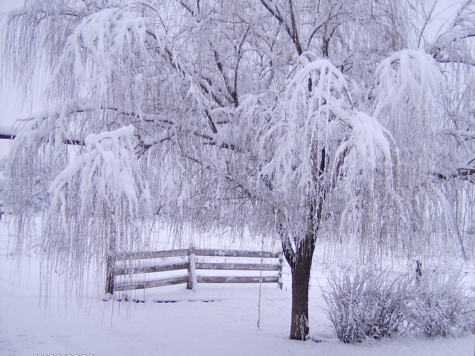 Free Winter Wallpapers And Screensavers