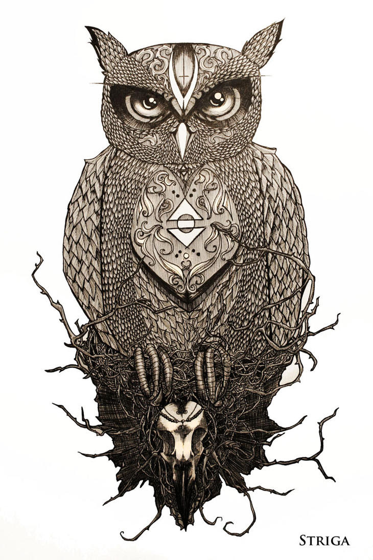 The Owl - tattoo design by Striga-art