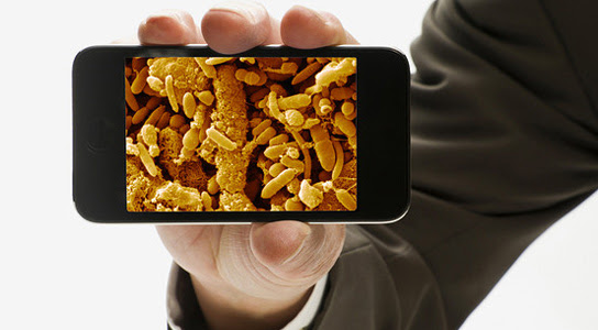 iphone-microbe