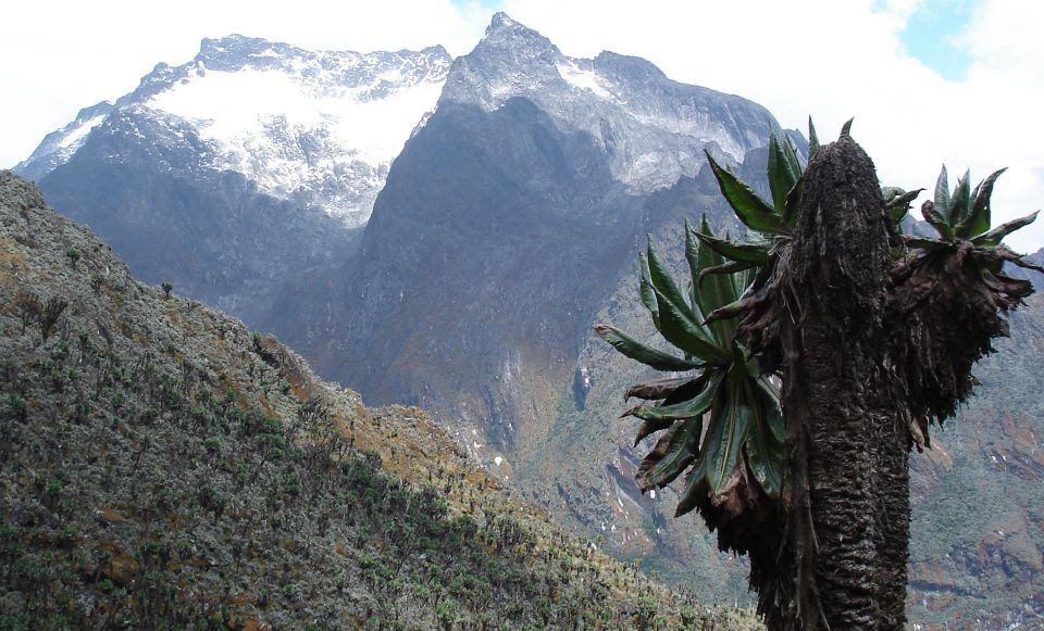 Photographs and location map of the Rwenzori Range in ...