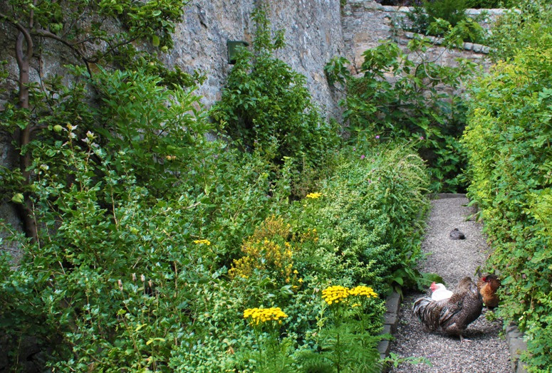 Beautiful Food Garden 775 x 524