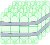 pet-2d.jpg (42486 bytes)