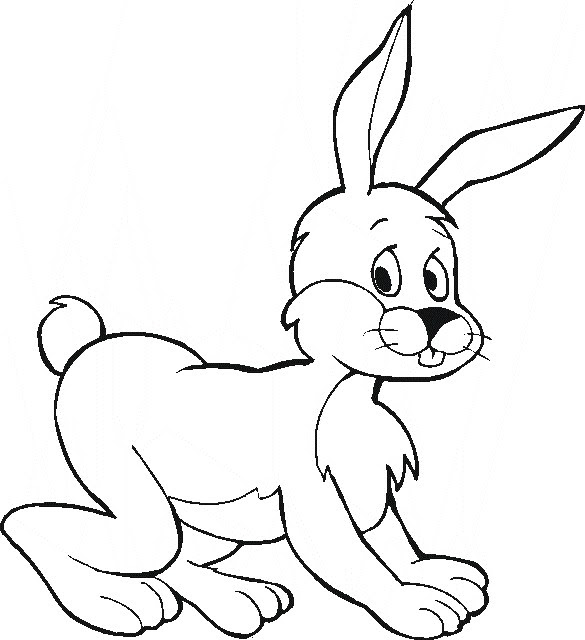 Animal Coloring Pages Fluffy the Jumping Rabbit for you to color