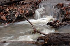 Stream after Rainy Day