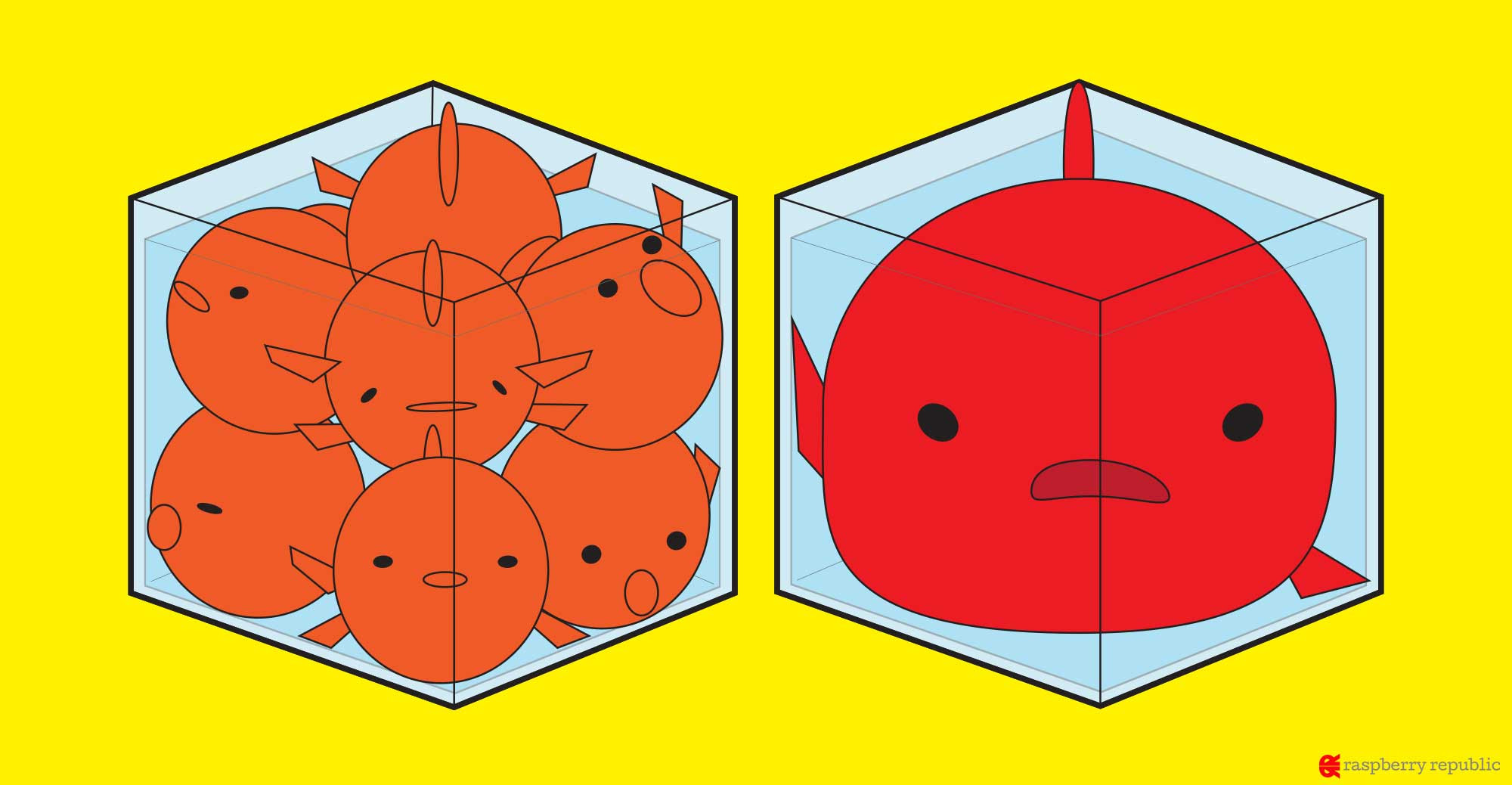 水槽に金魚は何匹まで飼えるのか 金魚飼育マニュアル 木苺共和国