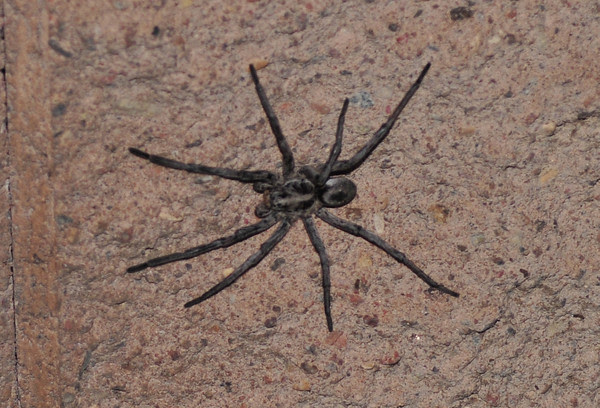 Can I come inside and get warm???