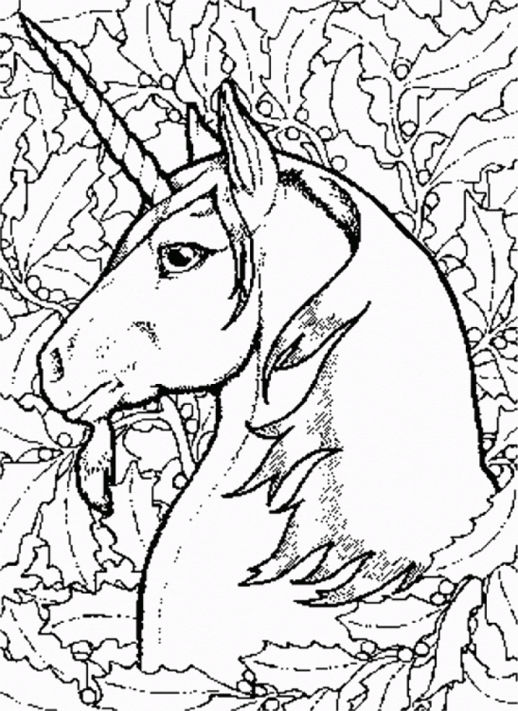 Free Unicorn Coloring Pages For Adults Download Free Unicorn Coloring Pages For Adults Png Images Free Cliparts On Clipart Library