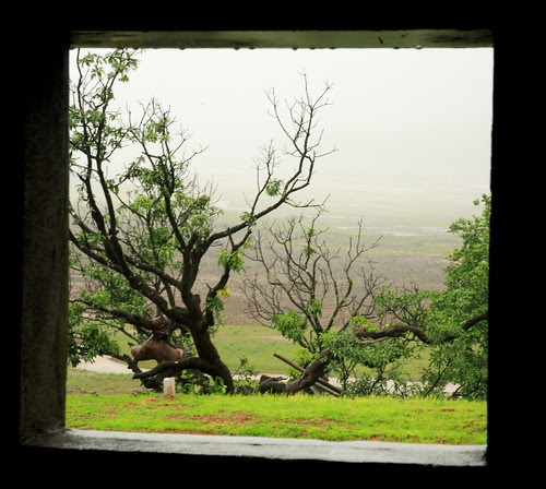 framed...