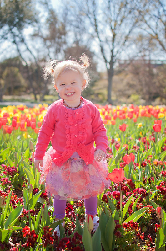 Abigail Ariston Tulip-21-1web