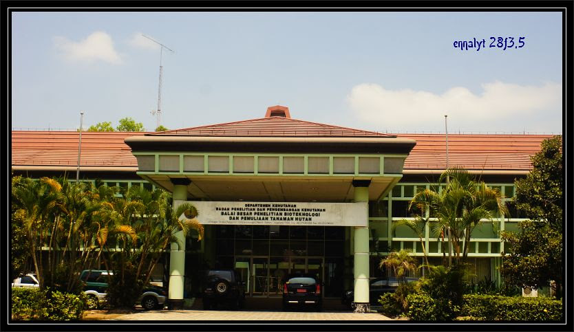 kehut