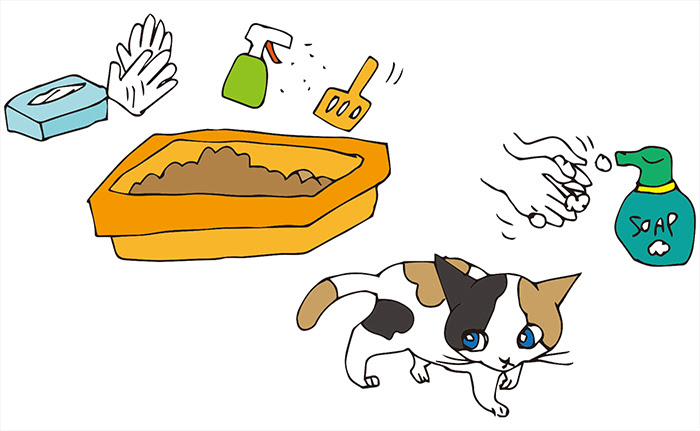 猫ひっかき病 猫のひっかき傷に要注意 ひっかかれた場合の対処法は