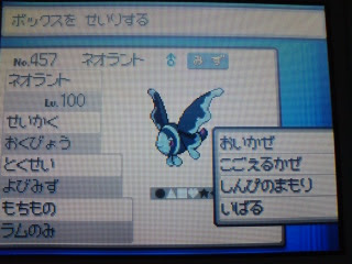 暇ッピー ポケモン