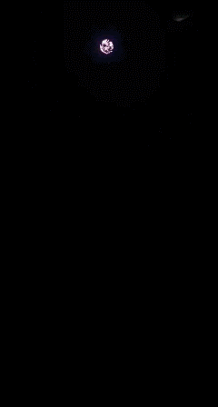  photo BlueHavoc.gif