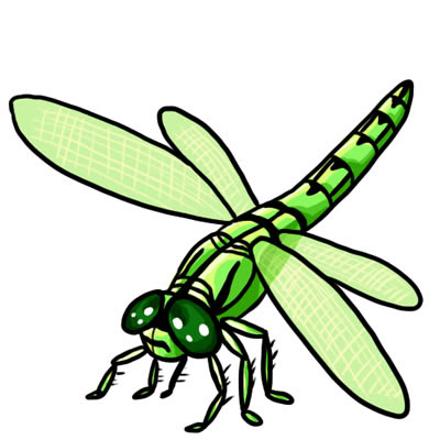 Free Drawings Of Dragonflies Download Free Drawings Of Dragonflies Png Images Free Cliparts On Clipart Library