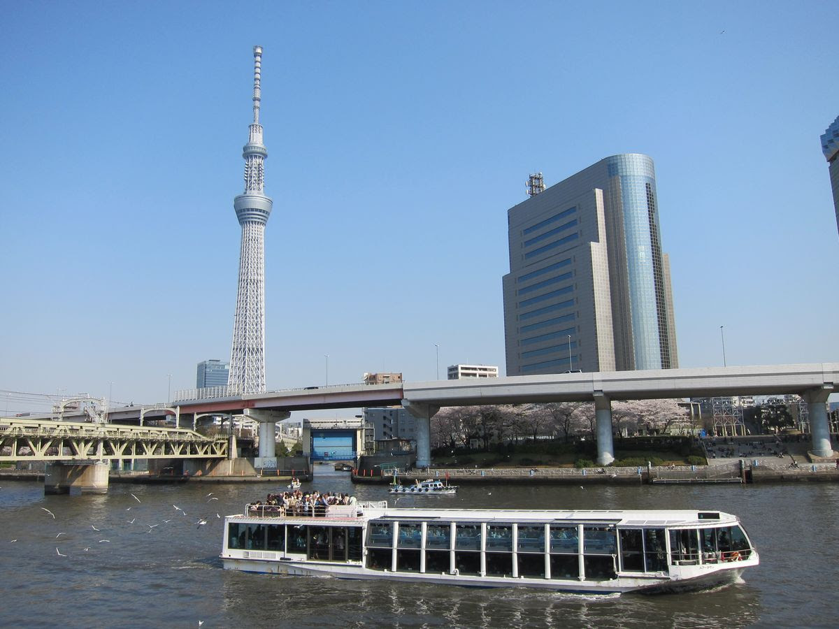 隅田川と東京スカイツリー ３ Saboの東京名所写真