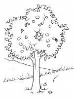Disegni Da Colorare Dell Estate Disegni Artistici Estate Da Colorare