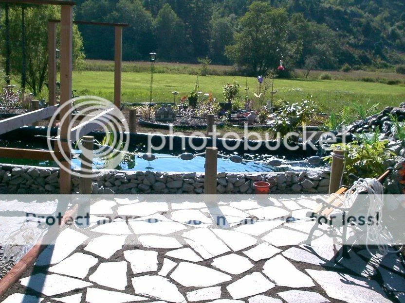 Concrete or pavers or stone -- what to do? - DIY Life