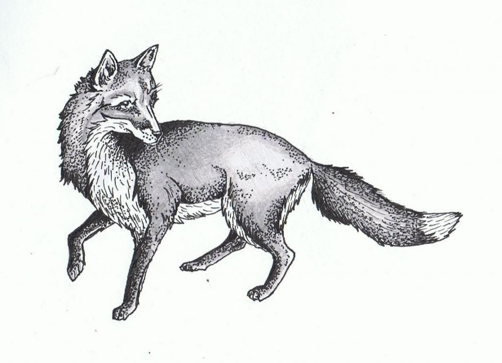 photo Image25.jpg