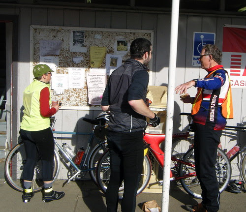 Lost: Intact Male Miniature Pinscher