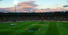 Cricket World Cup