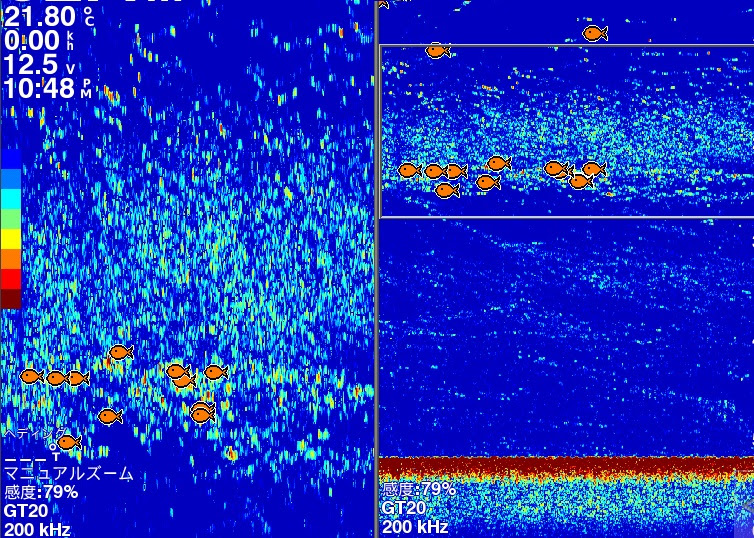 魚探でイカは見える ブログ四季のボート釣り