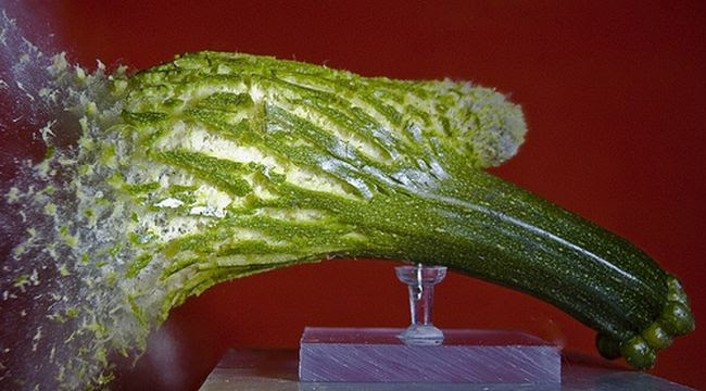 Amazing High Speed Photography by Alan Sailer (99 pics)
