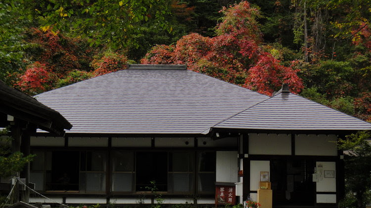 環境省 日光湯元ビジターセンター 奥日光の紅葉 湯元