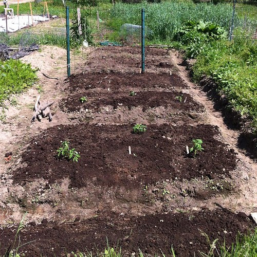 Garden Progress by jenib320