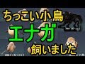 黒い砂漠 モバイル ペット 260561-黒い砂漠 モバイル ペット 餌