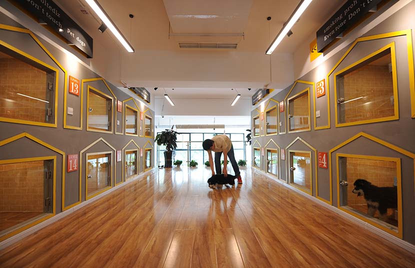 Holiday Rush Means No Room at Inn for Pets