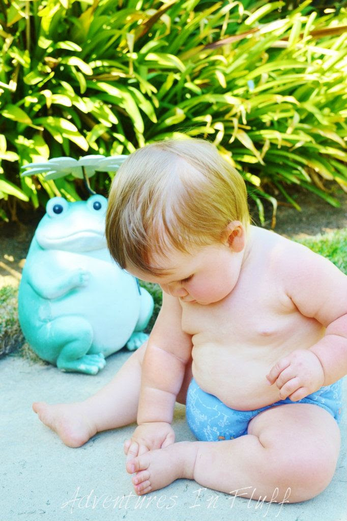 Little Seedlings Hybrid Fitted Cloth Diaper - On My Baby