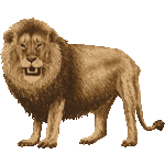 リアルタッチらいおん No 1 リアルライオンのイラスト アイコン 条件付フリー素材集 スマホなど携帯電話対応