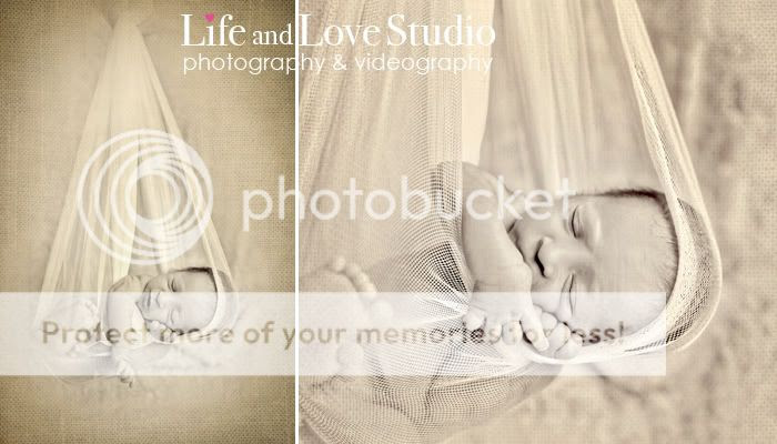newborn portrait photography jacksonville