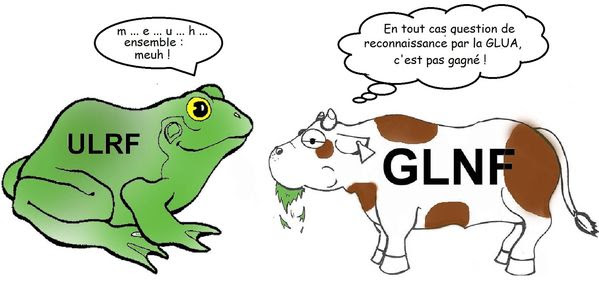 GLNF VERSUS ULRF HISTOIRE SANS PAROLE Le blog de G GLNF VERSUS ULRF HISTOIRE SANS PAROLE Le blog de G