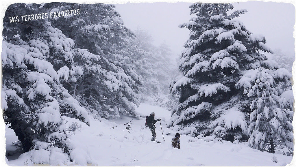 GUADARRAMA ENERO 2014
