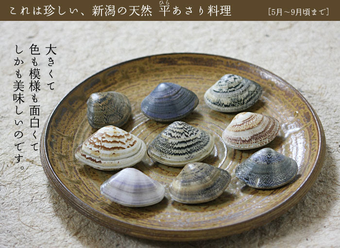 25 あさり 貝殻 模様