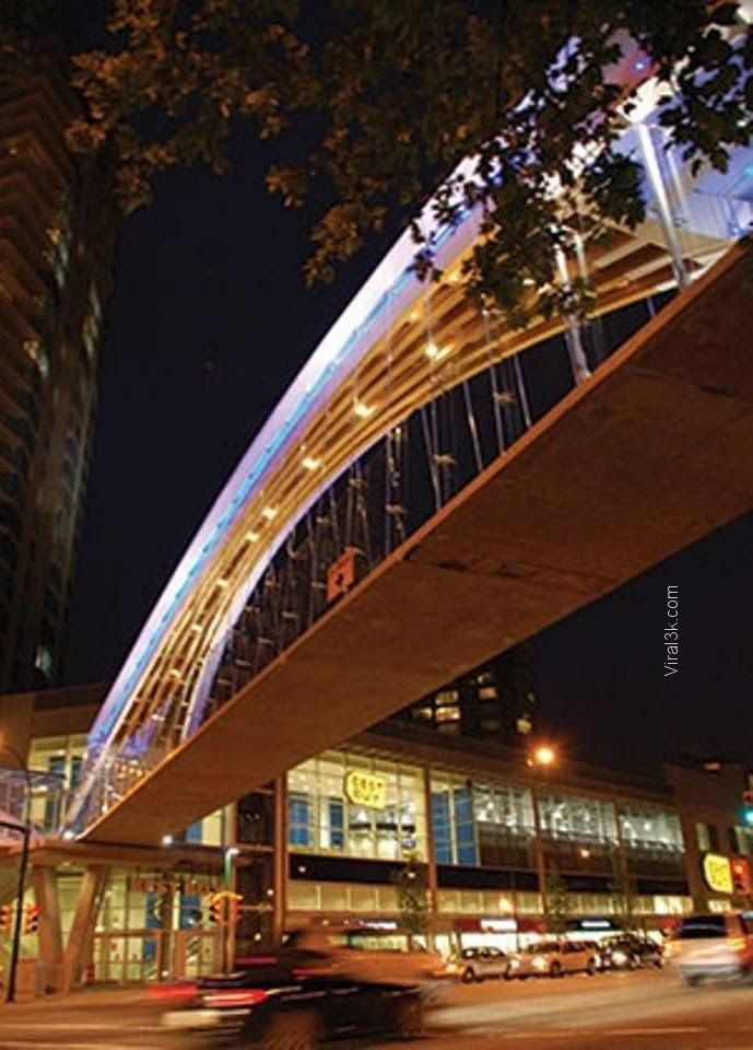 Best Pedestrian Bridges  Viral3k