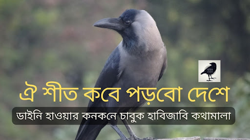 ঐ শীত ক‌বে পড়‌বো দে‌শে : ডাই‌নি হাওয়ার কনক‌নে চাবুক হাবিজাবি কথামালা
