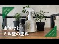 [最新] 観葉植物型 虫除け 721031-観葉植物型 虫除け