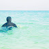 Burka Schwimmen - Ist Der Burkini Eine Gute Losung Fur Gemeinsamen Sportunterricht In Der Schule Lauft : Maybe you would like to learn more about one of these?