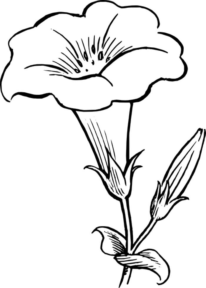 Free Flower Outline, Download Free Clip Art, Free Clip Art  