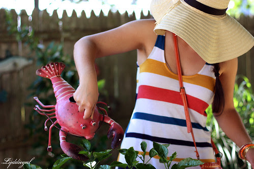 Crab watering can