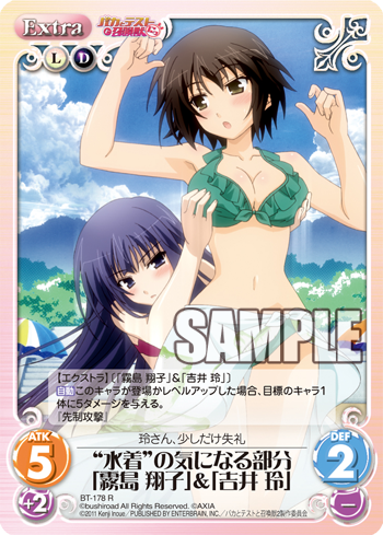 ヴァイス ｌｅ ｓｅｃｒｅｔ 11年11月