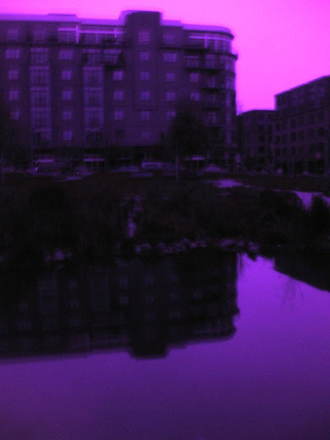 Tanner Springs (UV)