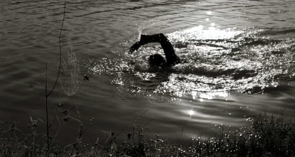 The Fall (2006)