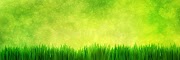 69+ Background Banner Natural Green